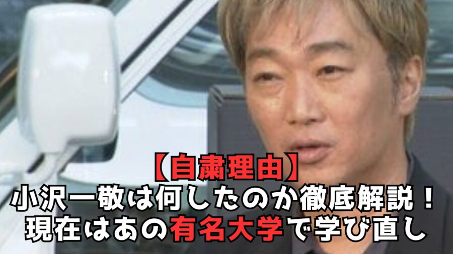 小沢　自粛　理由